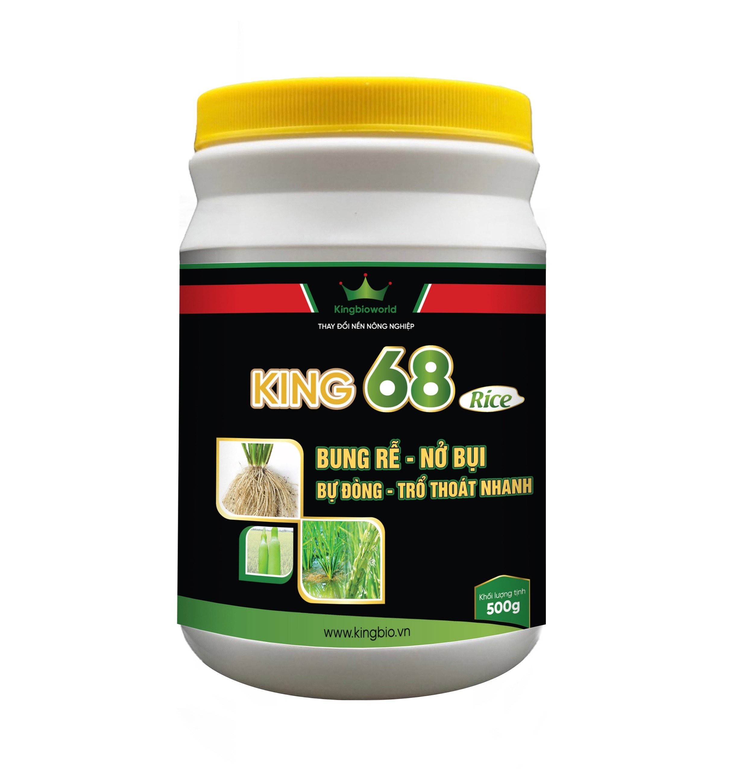 King 68 Rice – Nở bụi – Bự đòng – Trổ thoát nhanh