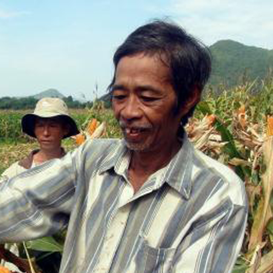 Chú Bình ở Long An