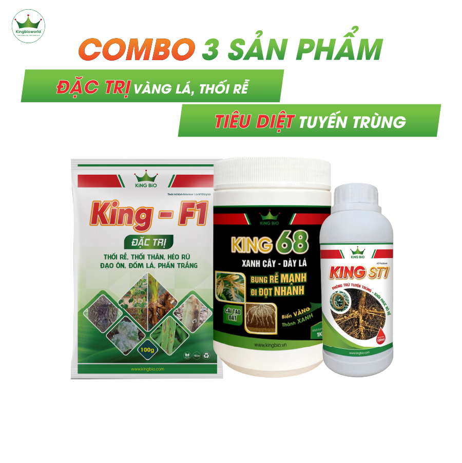 Combo đặc trị Vàng lá thôi rễ (King F1) - Tuyết trùng (King St1) - Kích rễ (King 68)