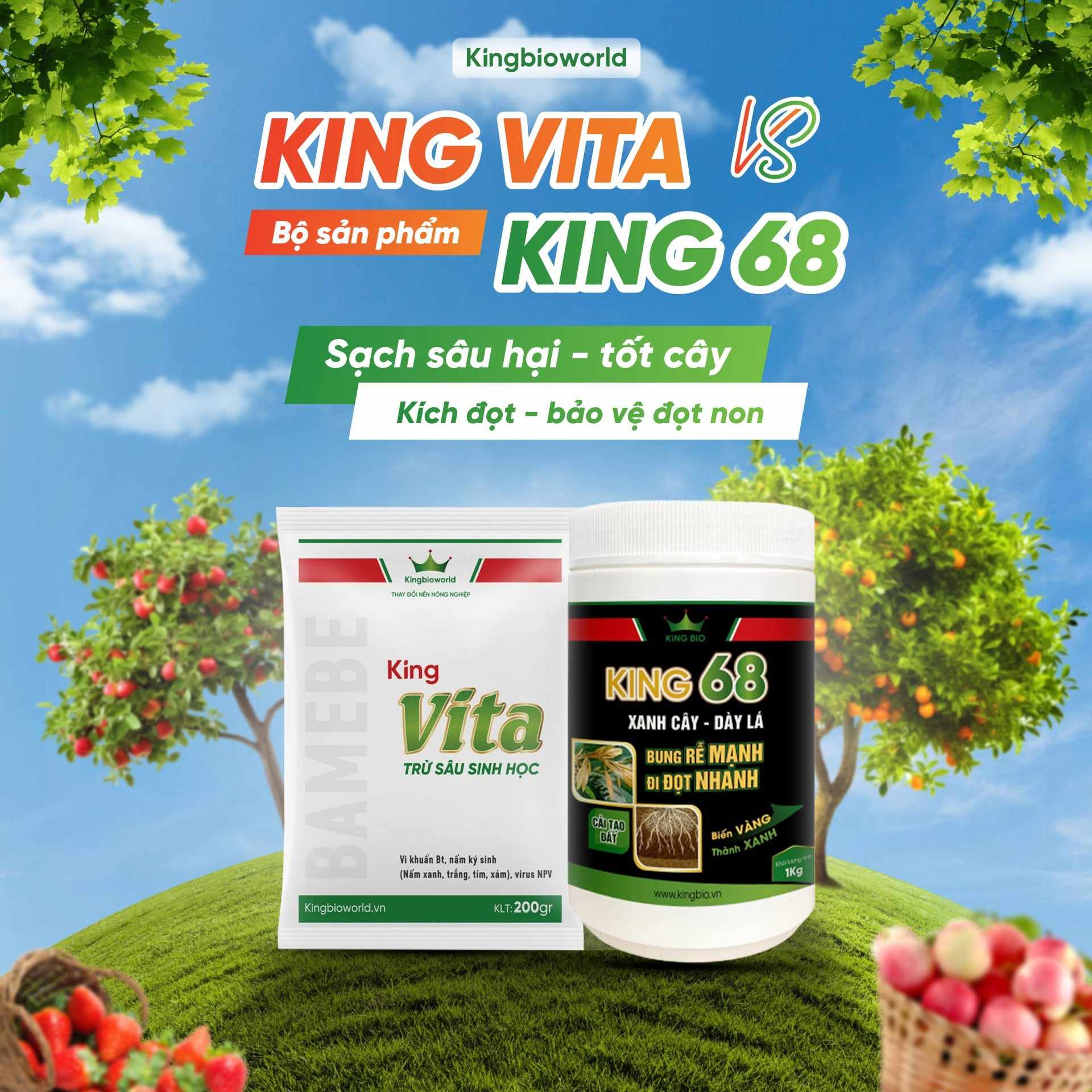 Combo King Vita – King 68 Trừ sâu hại – bảo vệ đọt non