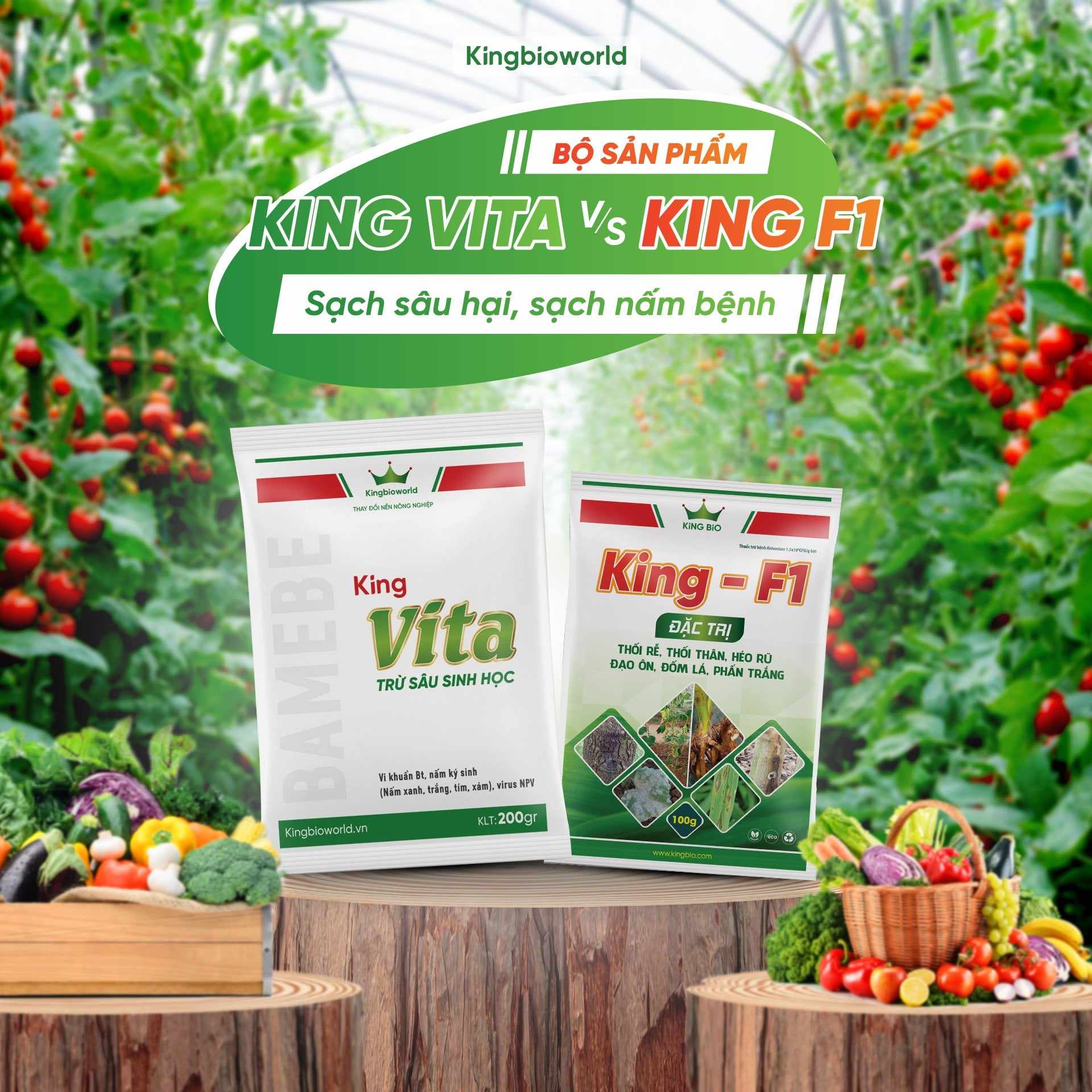 Combo King Vita - King F1 Sạch sâu hại - Trừ nấm hại bộ rễ