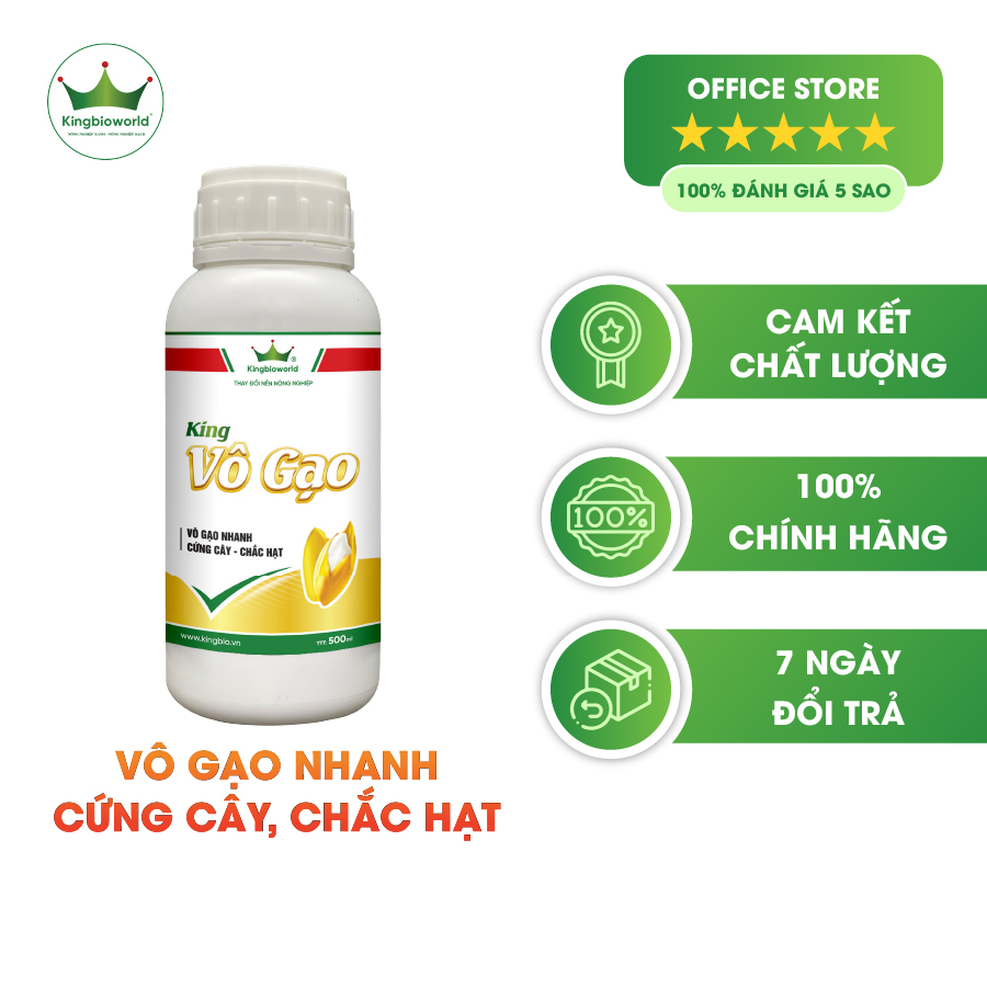 King Vô Gạo - Vô Gạo nhanh, Cứng cây - Chắc hạt