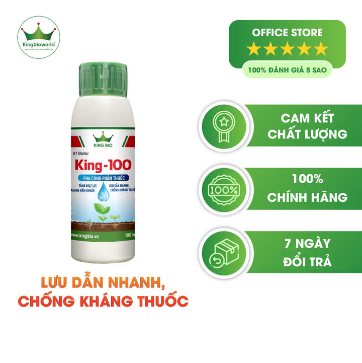 King 100 - Chất lưu dẫn - Loang trải mạnh - Thẩm thấu nhanh