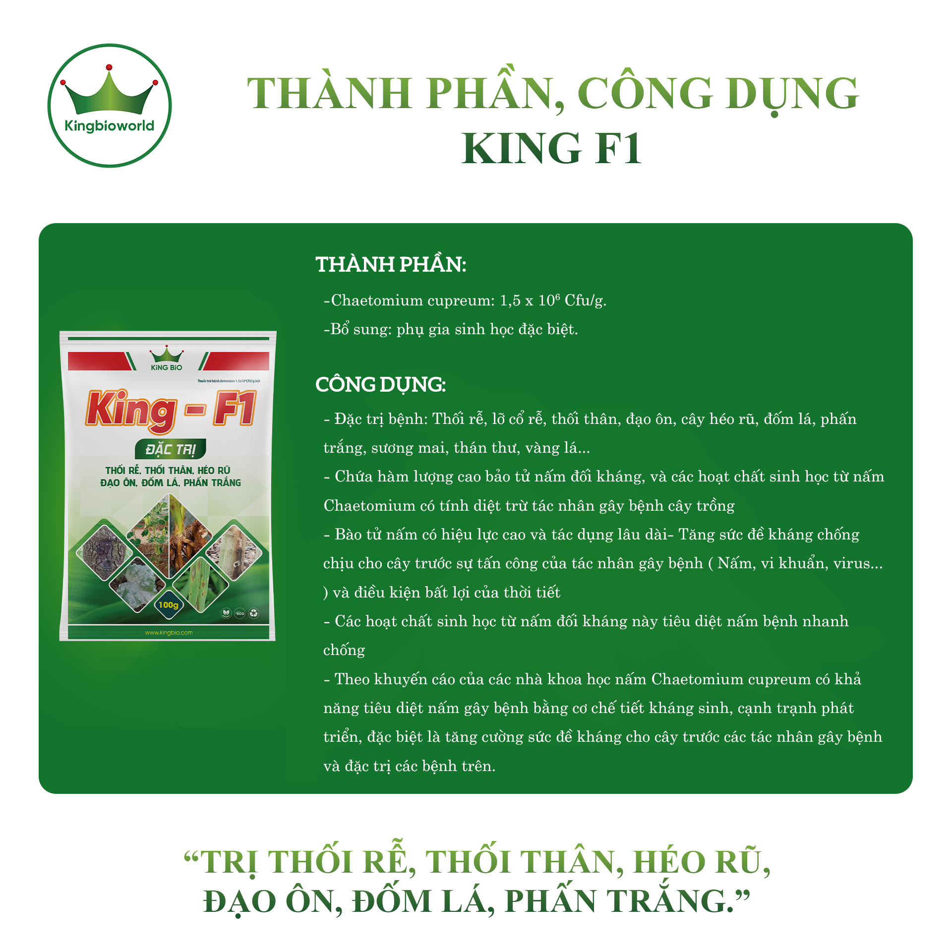 thanh-phan-cong-dung-king-f1-tri-nam-benh-vang-la-thoi-re-dao-on-kingbioworld