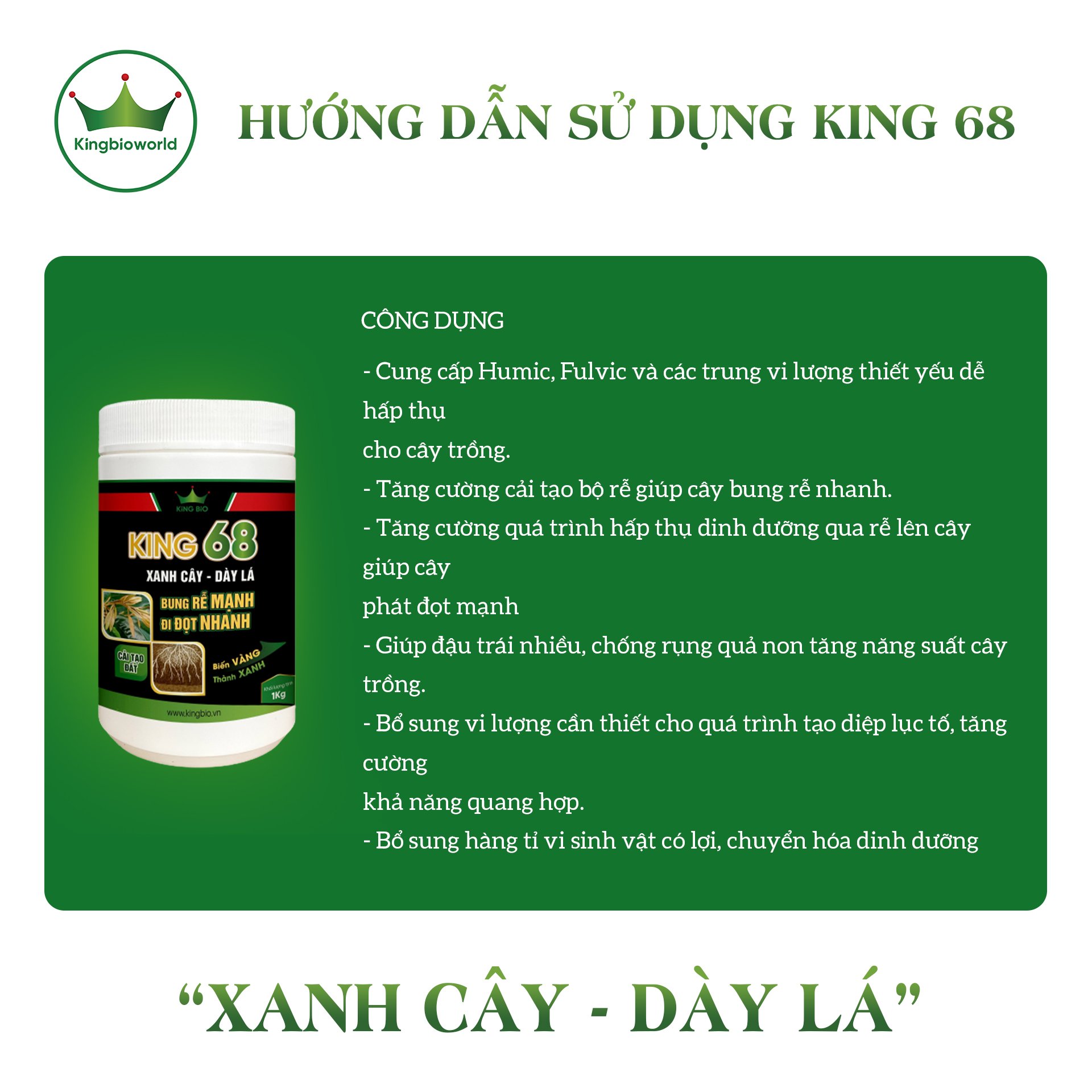 cong-dung-king-68-kich-re-nhanh-di-dot-manh