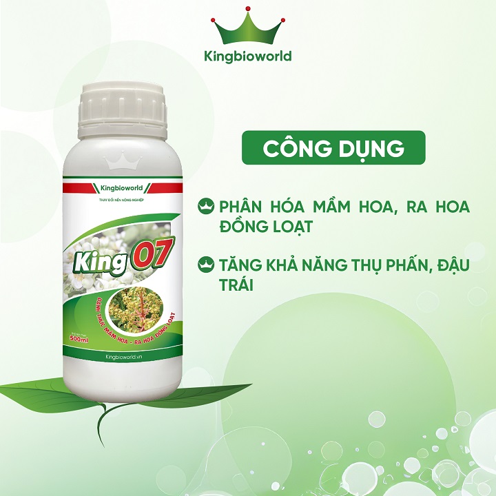 cong-dung-king-07-lan-huu-co-sinh-hoc-danh-thuc-mam-hoa-ra-hoa-dong-loat-kingbioworld