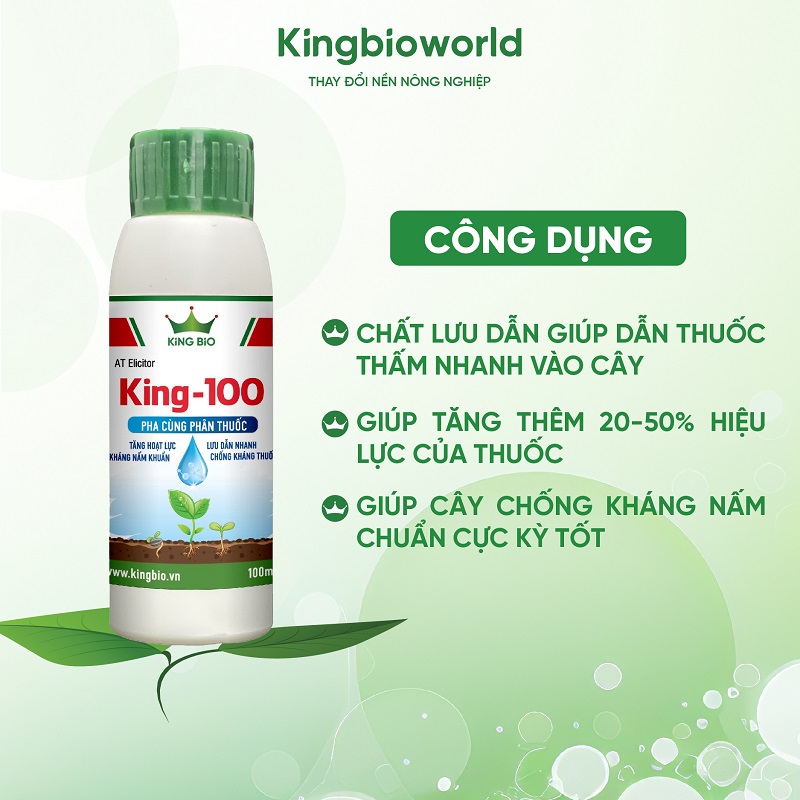 cong-dung-king-100-chat-luu-dan-tang-hoat-luc-thuoc-1-kingbioworld-1