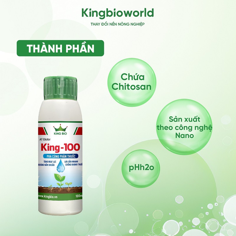 thanh-phan-king-100-chat-luu-dan-tang-hoat-luc-thuoc-1-kingbioworld-2