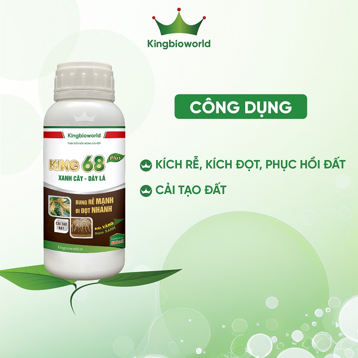 cong-dung-king-68-plus-sieu-kich-re-bung-dot-manh-kingbioworld