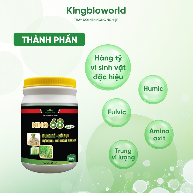 thanh-phan-king-68-rice-no-bui-bu-dong-tro-thoat-nhanh-tren-cay-lua-1