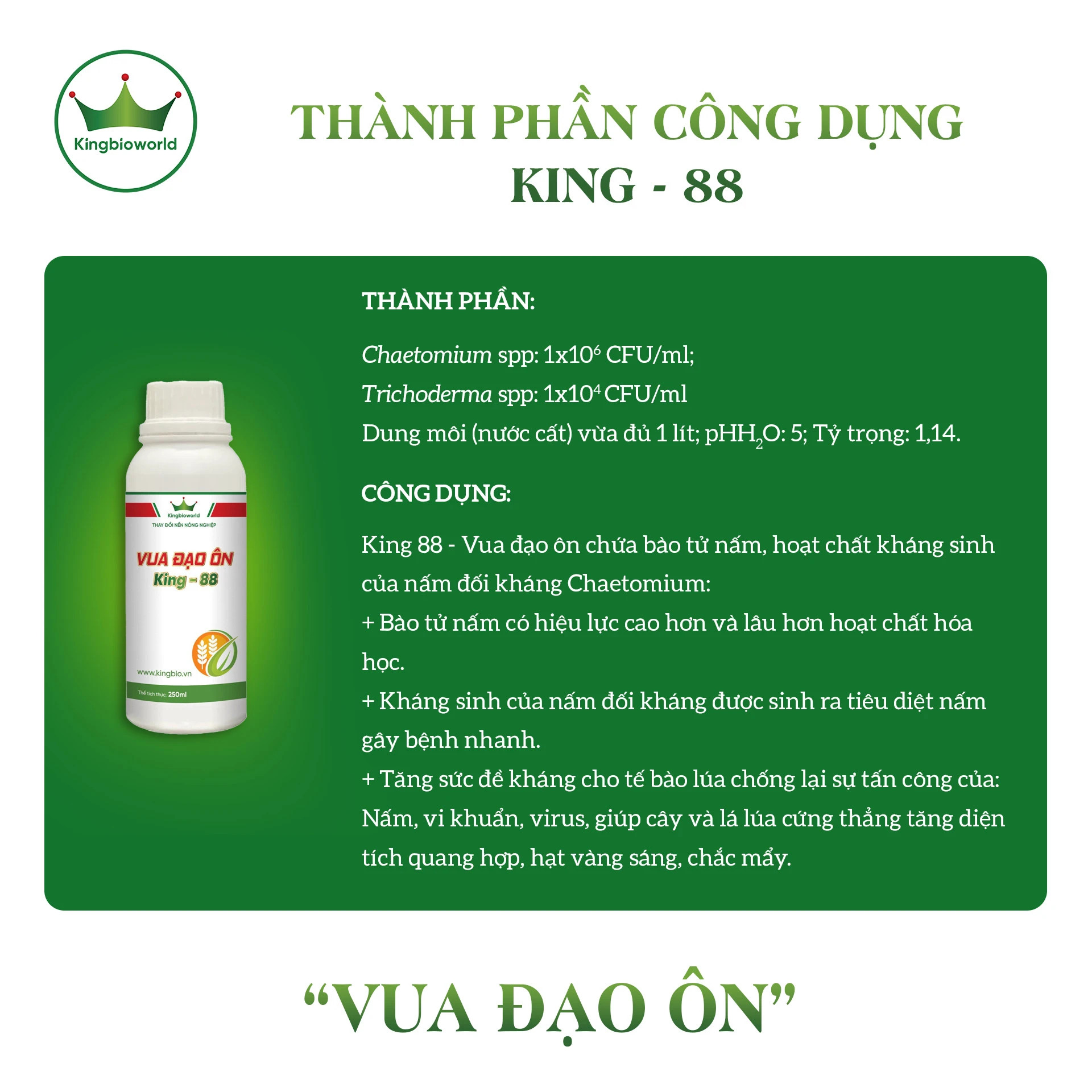 thanh-phan-cong-dung-king-88-dac-tri-dao-on-phong-tru-dao-on-la-dao-on-co-bong-tu-sinh-hoc