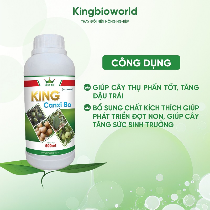 cong-dung-king-canxi-bo-duong-hoa-duong-trai-chong-chiu-dung-voi-thoi-tiet-2