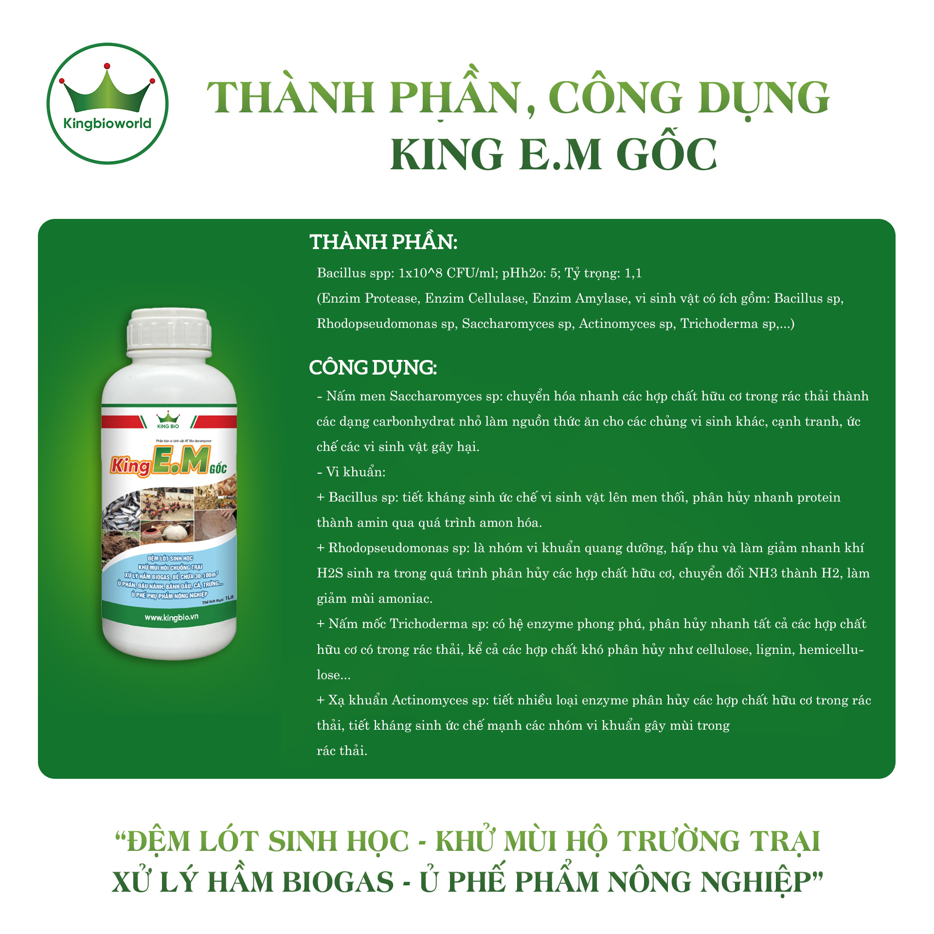 thanh-phan-cong-dung-king-e-m-goc-phan-bon-vi-sinh