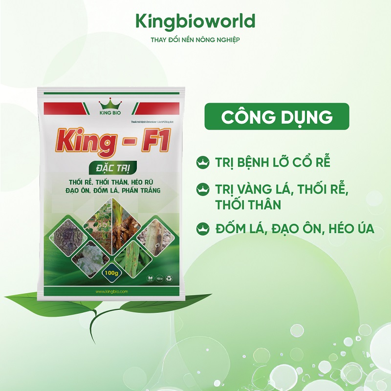 cong-dung-king-f1-tri-nam-benh-vang-la-thoi-re-dao-on-kingbioworld-2