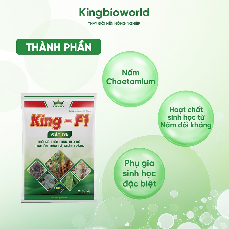 thanh-phan-king-f1-tri-nam-benh-vang-la-thoi-re-dao-on-kingbioworld-1