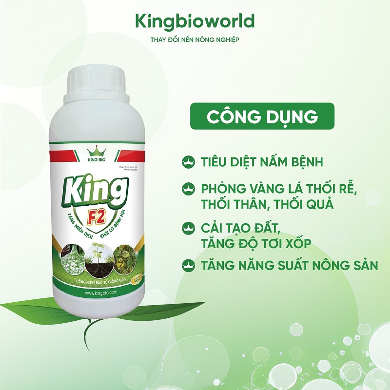 cong-dung-king-f2-tieu-diet-nam-benh-tang-mien-dich-khoi-lo-benh-hai-kingbioworld-1