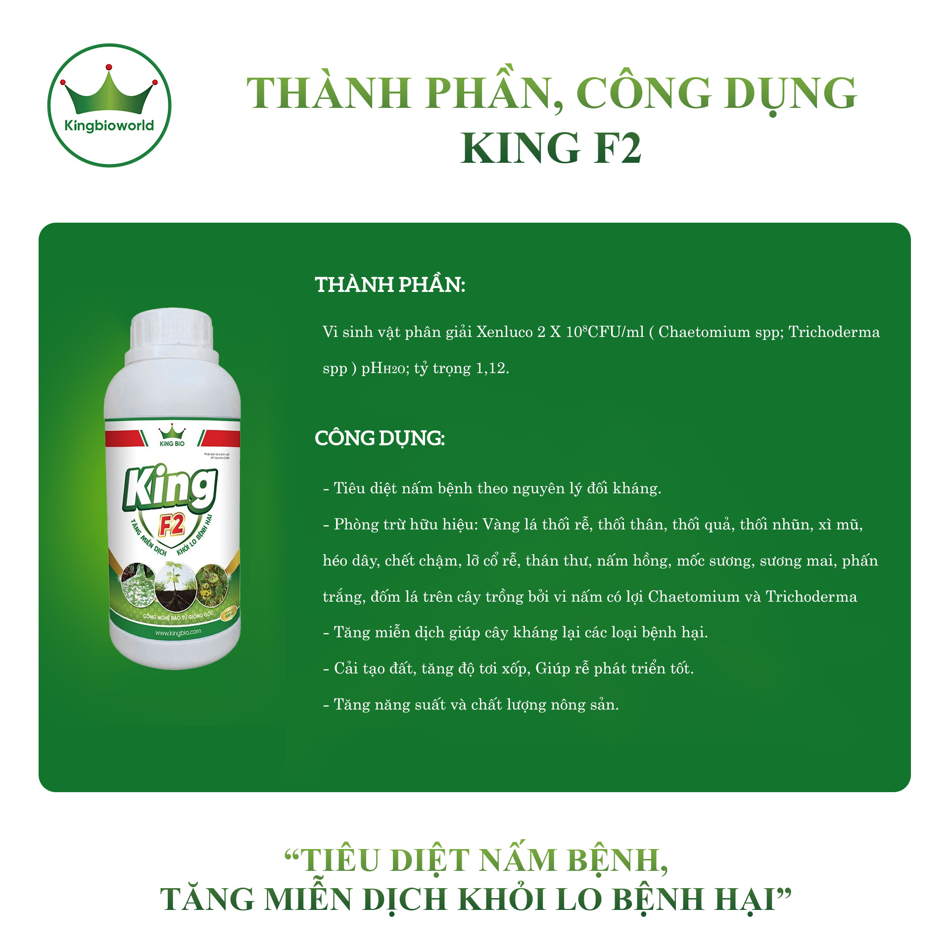 thanh-phan-cong-dung-king-f2-tieu-diet-nam-benh-tang-mien-dich-khoi-lo-benh-hai