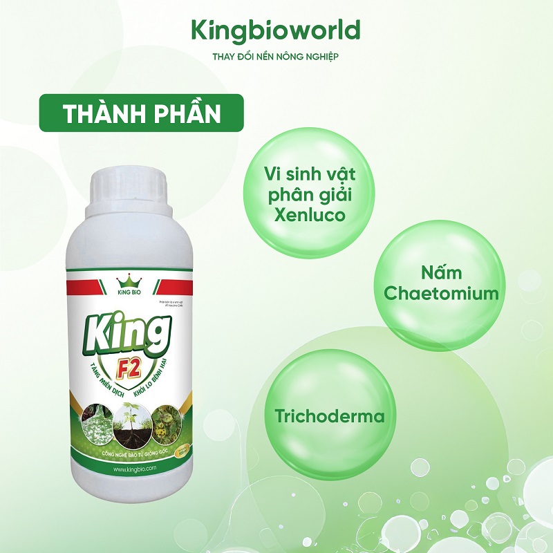 thanh-phan-king-f2-tieu-diet-nam-benh-tang-mien-dich-khoi-lo-benh-hai-kingbioworld