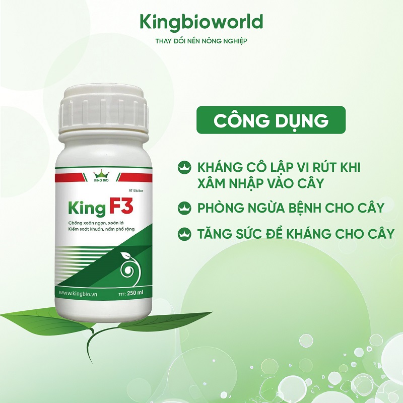 cong-dung-king-f3-chong-xoan-ngon-xoan-la-kiem-soat-khuan-va-nam-pho-rong-1