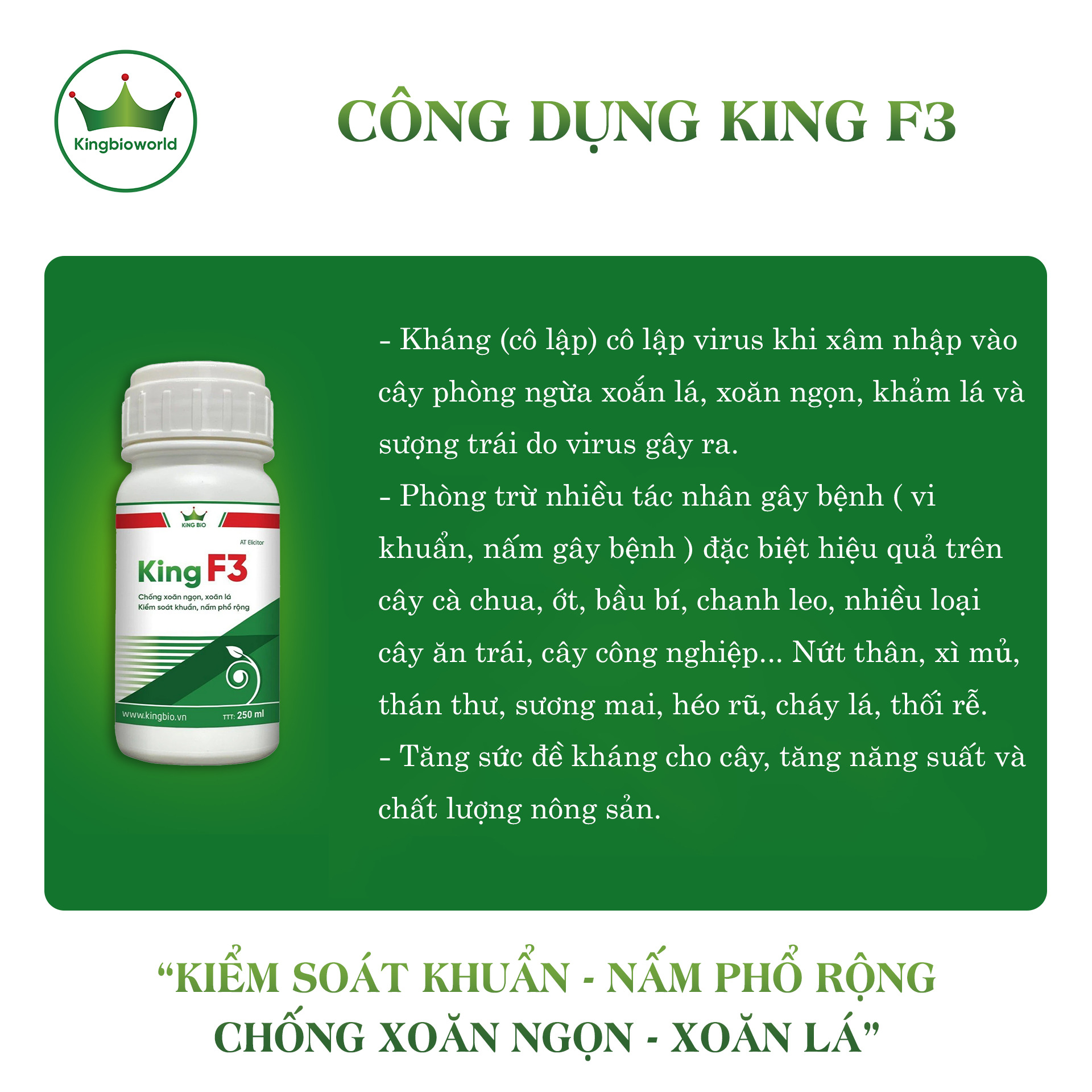 cong-dung-king-f3-chong-xoan-ngon-xoan-la-kiem-soat-khuan-va-nam-pho-rong