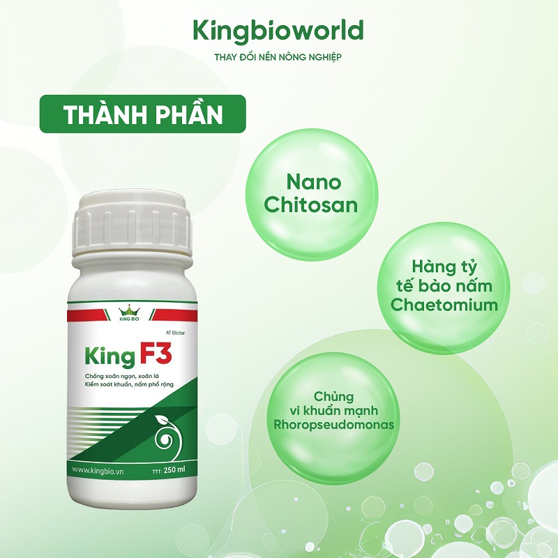 thanh-phan-king-f3-chong-xoan-ngon-xoan-la-kiem-soat-khuan-va-nam-pho-rong-2