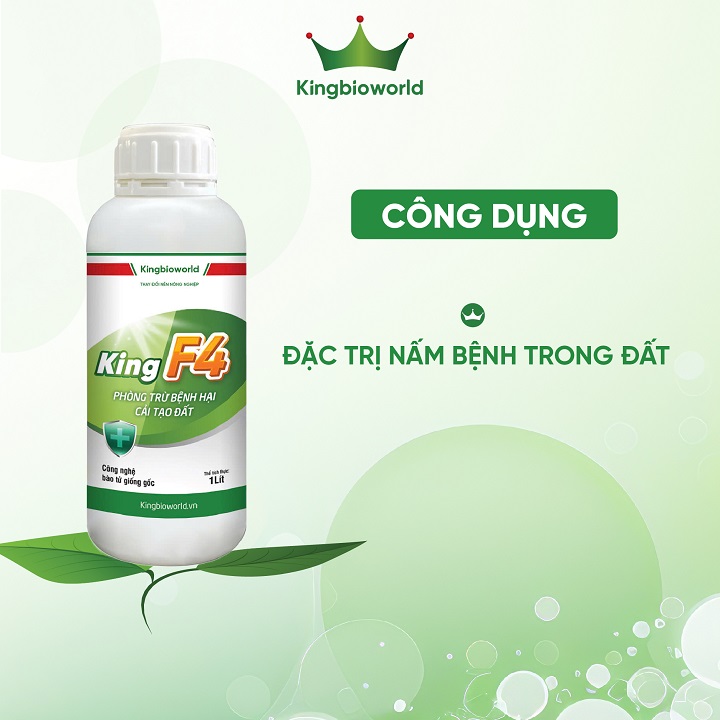 cong-dung-king-f4-phong-tru-benh-hai-cai-tao-dat-kingbioworld