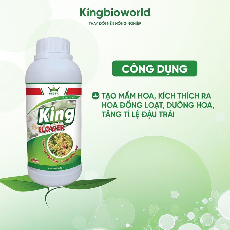 cong-dung-king-flower-lan-huu-co-sinh-hoc-danh-thuc-mam-hoa-ra-hoa-dong-loat-2