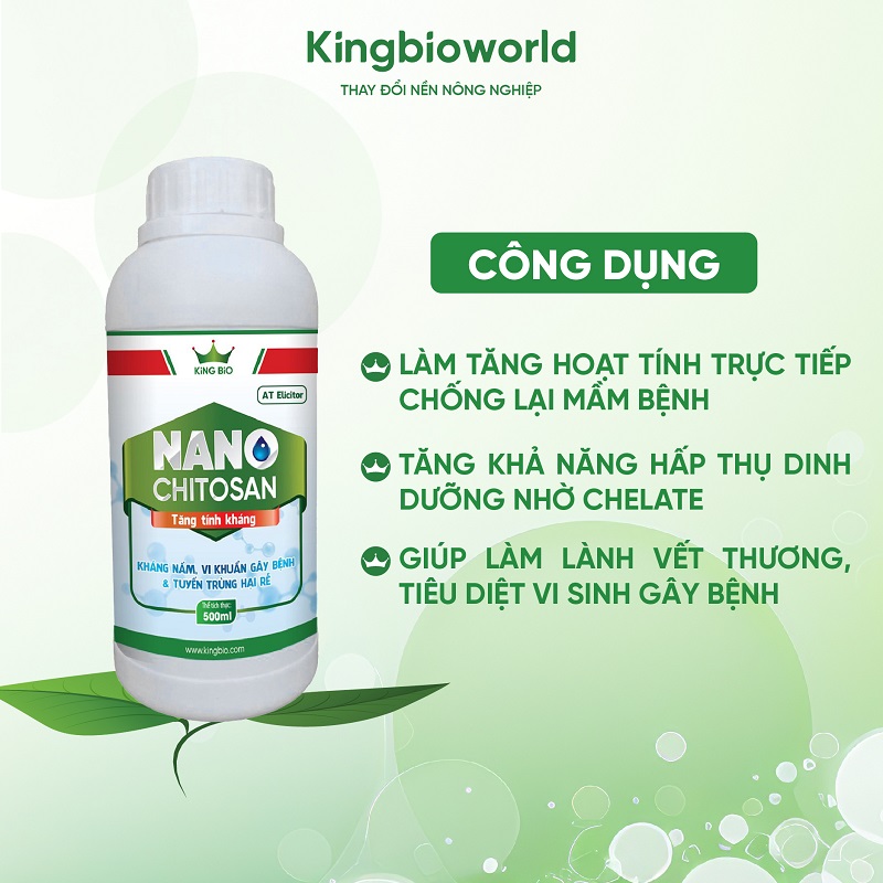 cong-dung-king-nano-chitosan-khang-nam-vi-khuan-gay-benh-va-tuyen-trung-gay-hai