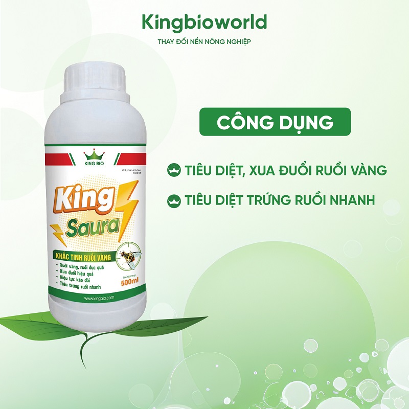 cong-dung-king-saura-dac-tri-ruoi-vang-duc-trai-1