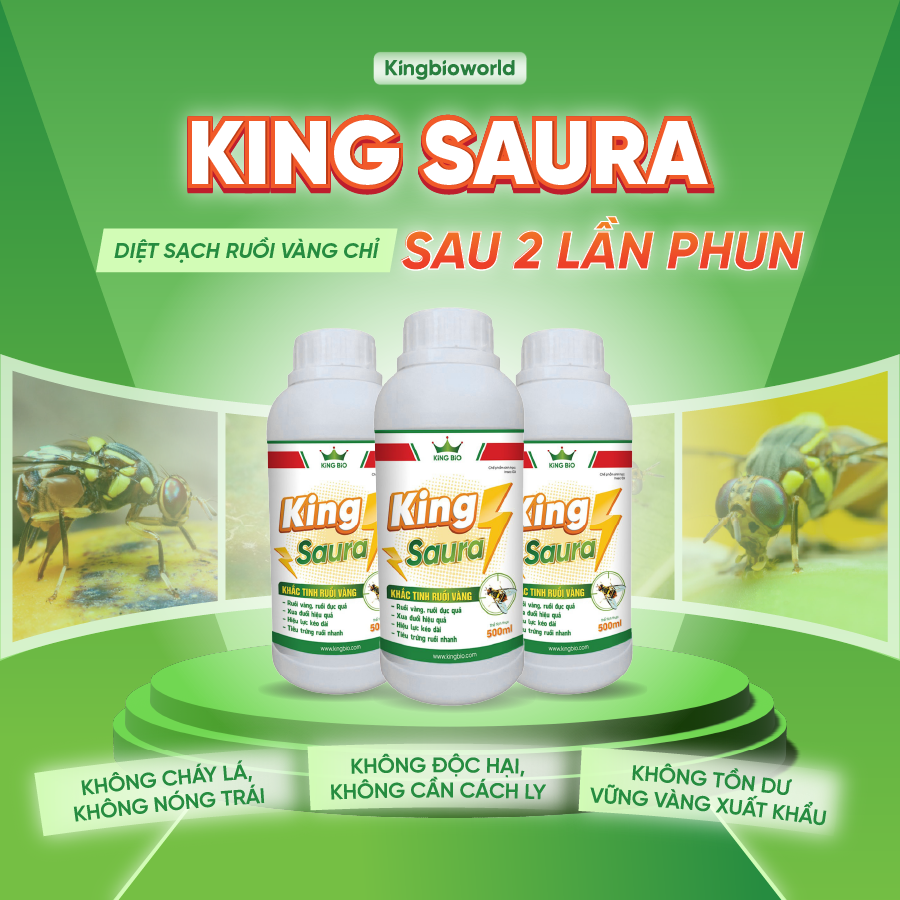 king-saura-thuoc-dac-tri-ruoi-vang-ruoi-duc-trai-kingbioworld