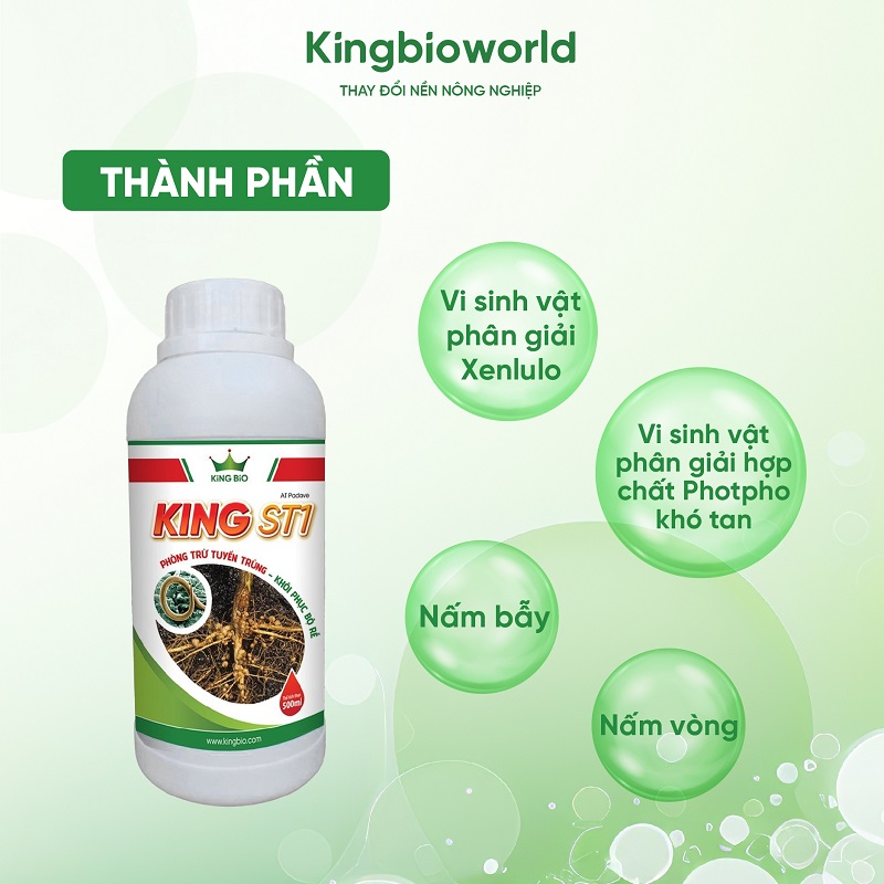 thanh-phan-king-st1-phong-tru-tuyen-trung,-khoi-phuc-bo-re,-cai-tao-dat-2