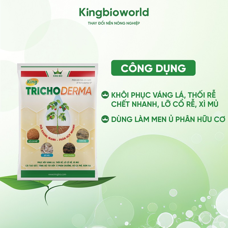 cong-dung-king-trichoderma-phan-bon-huu-co-vi-sinh-1