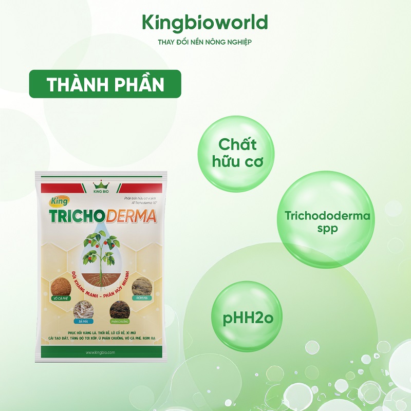 thanh-phan-king-trichoderma-phan-bon-huu-co-vi-sinh (1)