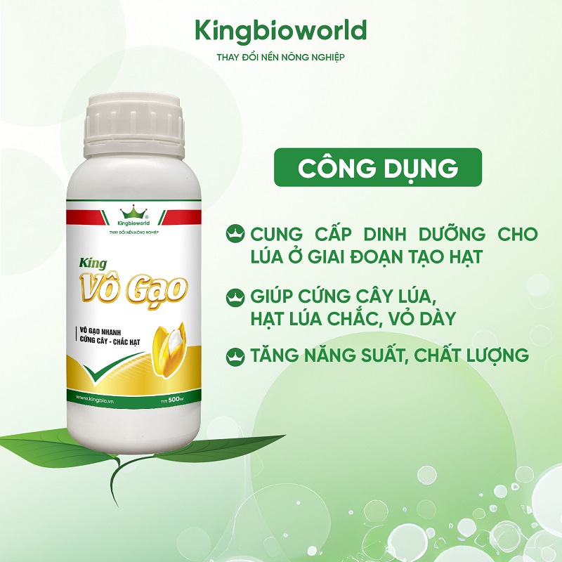 cong-dung-king-vo-gao-vo-gao-nhanh-cung-cay-chac-hat-2