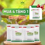 KING VITA: DIỆT CÔN TRÙNG CHÍCH HÚT