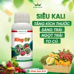 KING 09: TĂNG KÍCH THƯỚC TRÁI