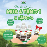 KING 26: CẢI TẠO ĐẤT, NÂNG PH, HẠ PHÈN