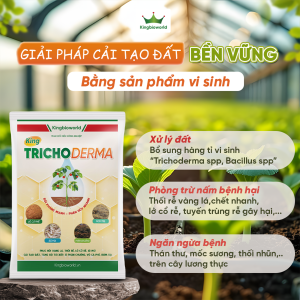 KING TRICHODERMA: CẢI TẠO ĐẤT
