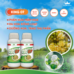 KING 07: KÍCH HOA SINH HỌC