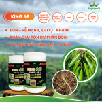 KING 68: BUNG RỄ MẠNH, ĐI ĐỌT NHANH