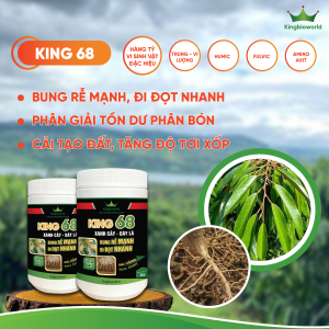 KING 68: BUNG RỄ MẠNH, ĐI ĐỌT NHANH