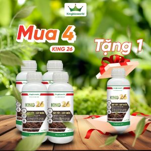 KING 26: CẢI TẠO ĐẤT, NÂNG PH, HẠ PHÈN