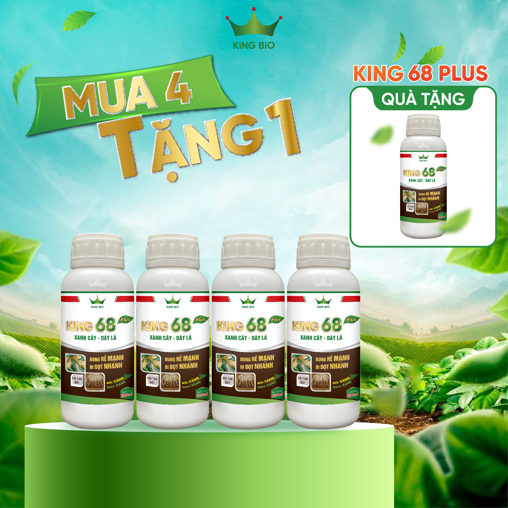 KING 68 PLUS: BUNG RỄ, BẬT CHỒI