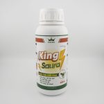 KING SAURA: ĐẶC TRỊ RUỒI VÀNG