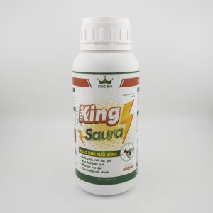 KING SAURA: ĐẶC TRỊ RUỒI VÀNG