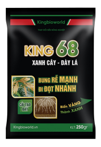 KING 68 250GR
