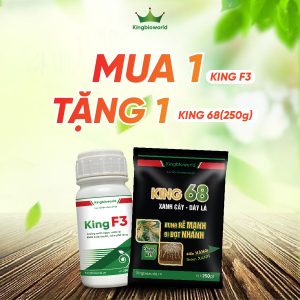 KING F3: ĐẶC TRỊ XOĂN LÁ, XOĂN NGỌN
