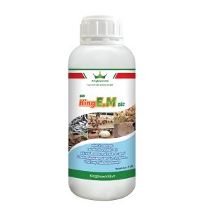 KING EM: Ủ CÁ, PHỤ PHẨM NÔNG NGHIỆP