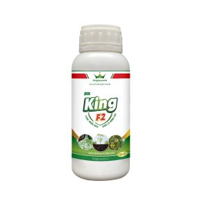 KING F2: ĐẶC TRỊ NẤM BỆNH TRÊN THÂN, LÁ, QUẢ