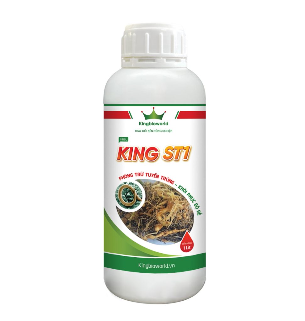 KING ST1: ĐẶC TRỊ TUYẾN TRÙNG